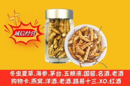 唐山市乐亭名酒回收散虫草.jpg