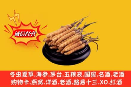 唐山市乐亭名酒回收冬虫夏草.jpg